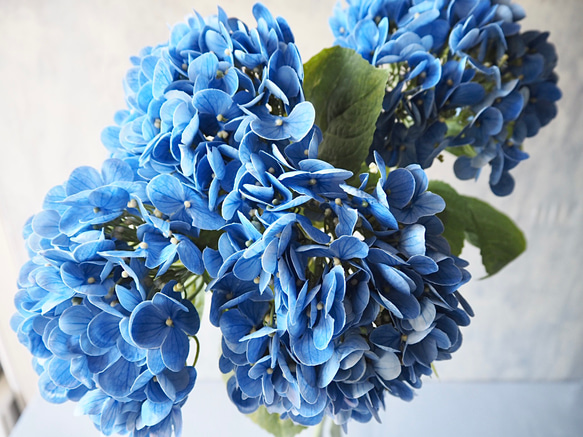 【リアル造花】選べる2色ブルーとピンクの紫陽花1本売り 7枚目の画像