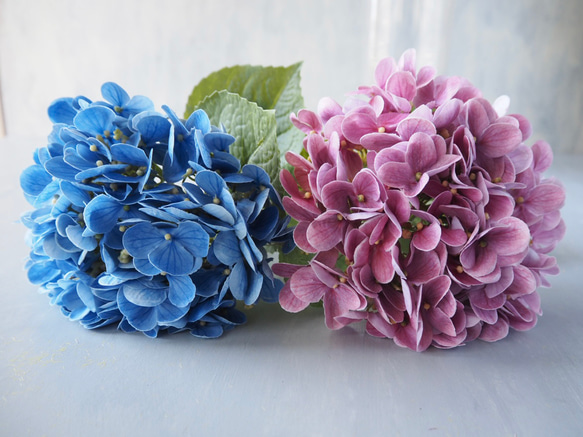 【リアル造花】選べる2色ブルーとピンクの紫陽花1本売り 1枚目の画像