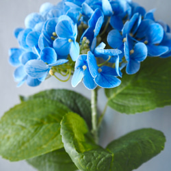 【リアル造花】選べる2色ブルーとピンクの紫陽花1本売り 14枚目の画像