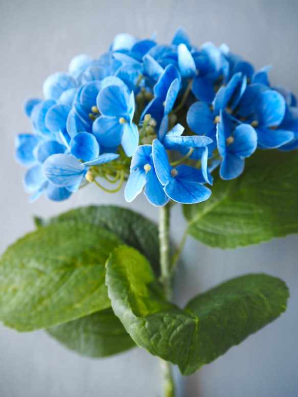 【リアル造花】選べる2色ブルーとピンクの紫陽花1本売り 14枚目の画像
