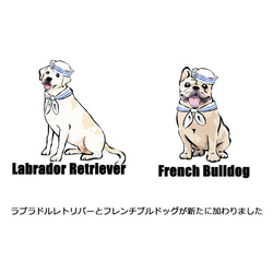 【受注生産】マリンだワンフェイスタオル  コーギー　パグ　ペキニーズ　柴犬　プードル　チワワ他 8枚目の画像