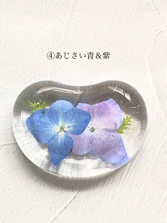 あじさい好きさんへ♡豆型箸置き「今年の紫陽花シリーズ」 5枚目の画像