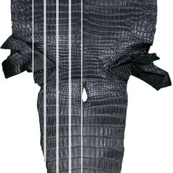 日本製　クロコダイル　Lサイズ　ベルト　上質　35㎜巾　フリーサイズ　エキゾチックレザー 8枚目の画像