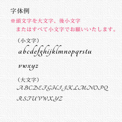 定期入れ/パス入れ/名刺入れ  カードケース【Ryusei（流星）】（名入れ可） 4枚目の画像