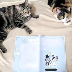 婚姻届 ペット　写真入り　完全オーダーメイド　愛犬　わんこ　ねこ　愛猫　写真入れ　文字入れ　ドレス　タキシード 5枚目の画像