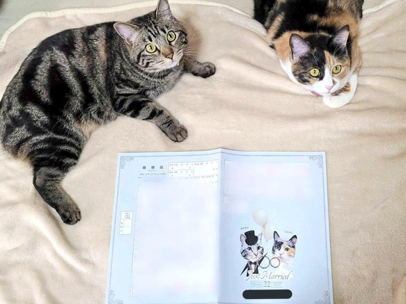 婚姻届 ペット　写真入り　完全オーダーメイド　愛犬　わんこ　ねこ　愛猫　写真入れ　文字入れ　ドレス　タキシード 5枚目の画像