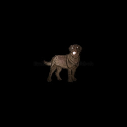 真っ黒の犬　刺繍ワッペン　犬ワッペン　レトリバー　黒い犬 7枚目の画像