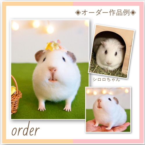 モルモット オーダー 人形 羊毛フェルト 羊毛フェルト cotta