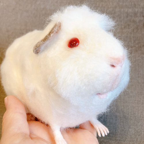 モルモット オーダー 人形 羊毛フェルト 羊毛フェルト cotta モルモット オーダー 人形 羊毛フェルト 羊毛フェルト cotta
