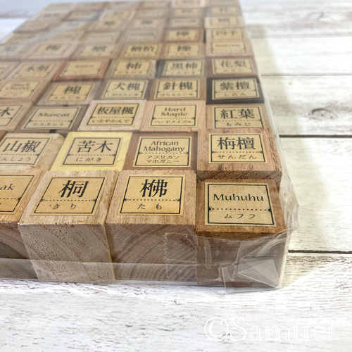 ▦60種60C『世界の木樹の標本／cube（い）：世界中の木材になる木たち