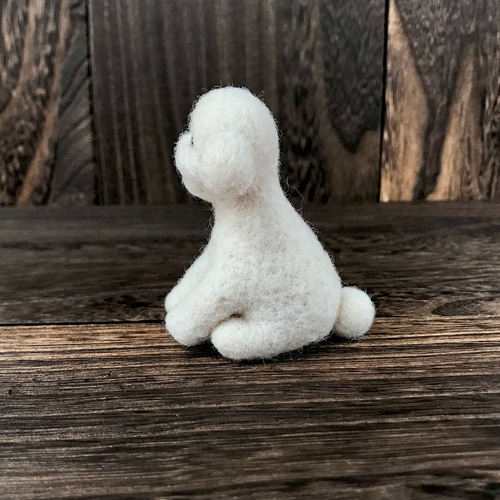 ご売約済・ma-chan様ご依頼作品》テディベアカットのトイ ご売約済・ma-chan様ご依頼作品》テディベアカットのトイ