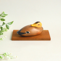 【ミニデコイ】マガモ メス （★台付き） mini decoy / wood animal 2枚目の画像