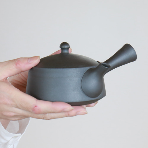 愛知県常滑産】澤田朋大さん作・急須・平（大）・250cc ポット・急須