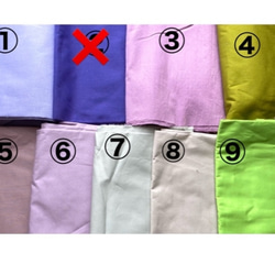 オーダースモック 無地のページ 黄緑、紫系、その他 子供服 onomade