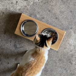 ◉13.犬のおもちゃ、犬用、歯固め梨の木、あまがみ期、小さめ大型犬お試し向き 6.犬のおもちゃ、犬用、歯固め梨の木、あまがみ期、小さめ大型犬お試し