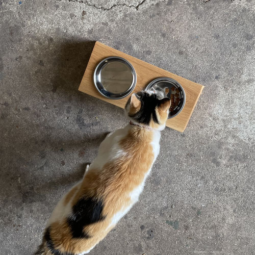 フードボウル｜全9種類 犬 猫 エサ入れ 餌 ペット フード ボール 無垢