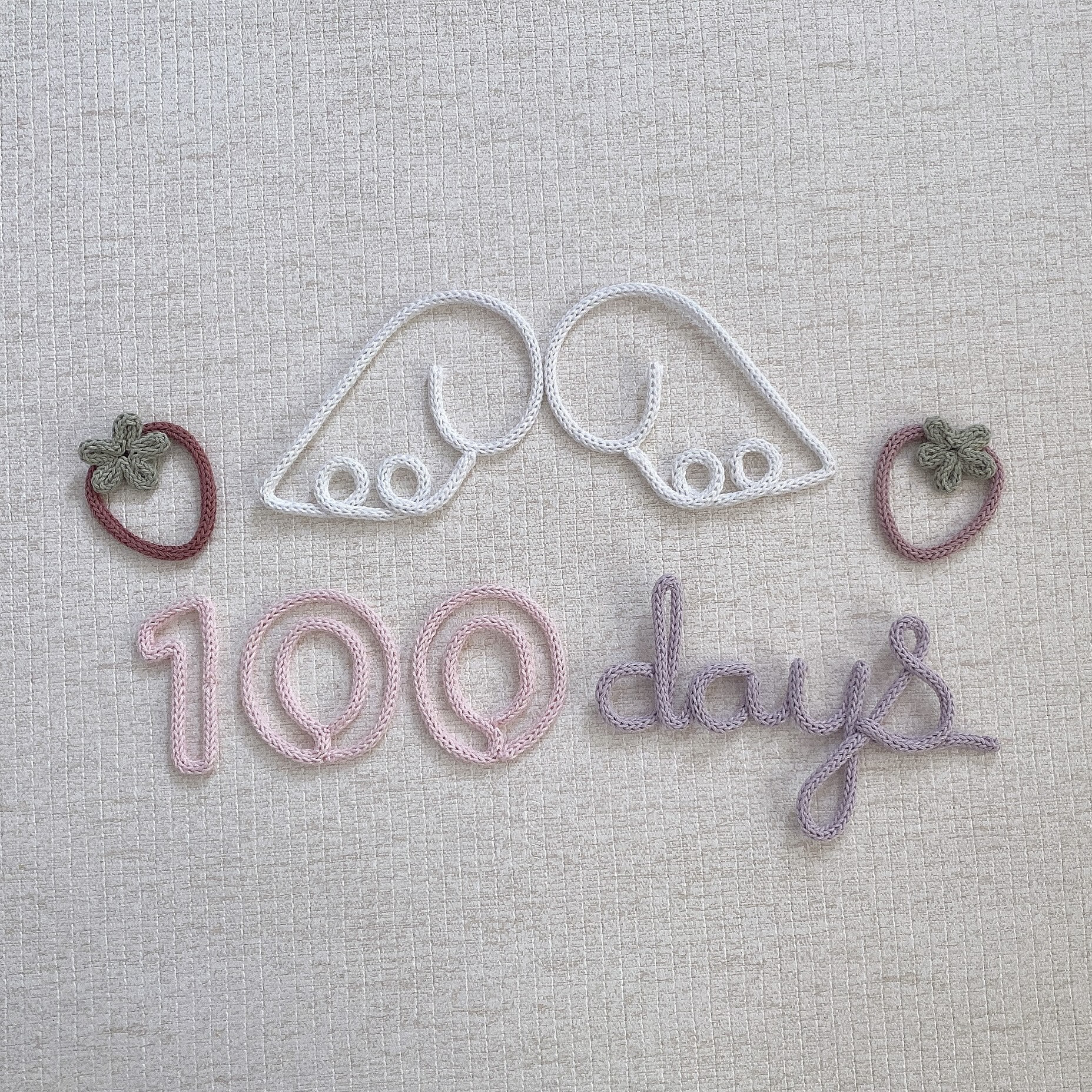 オーダー受付中♡ ウールレター ハンドメイド 100 days-