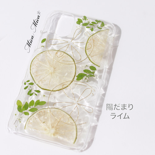 iPhoneケース フルーツ 全機種対応 ソフトケース ライム iPhone15 