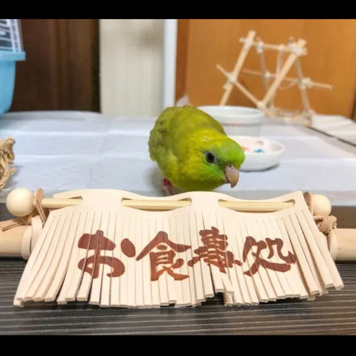 送料無料【本革】レザー❤️ ハンドメイドガシガシ系鳥インコの