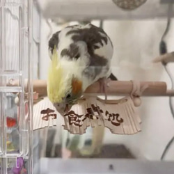 送料無料【本革】レザー❤️ ハンドメイドガシガシ系鳥インコのおもちゃ【のれん】 leather bird toy 16枚目の画像