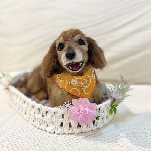 オーダー《受注製作》羊毛フェルト 犬♡ダックス♡ダックスフンド