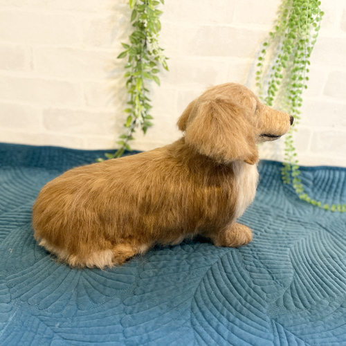 羊毛フェルト 犬のぬいぐるみ　ダックス 羊毛フェルトキット ミニチュアダックスフンド 羊毛フェルト犬