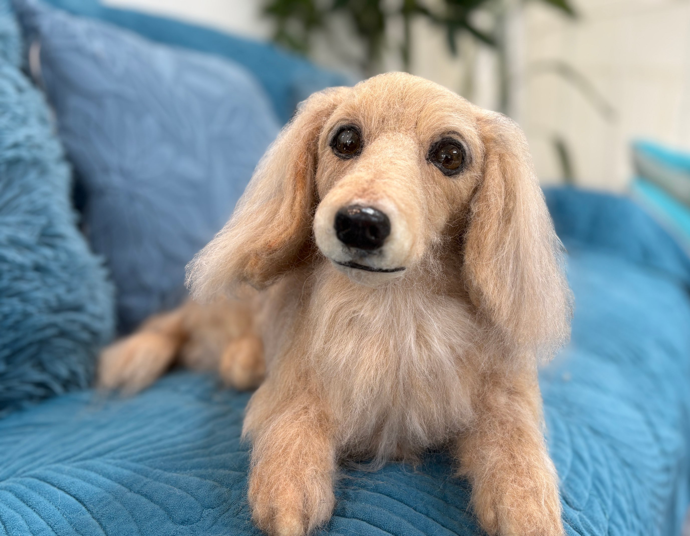 オーダー《受注製作》羊毛フェルト　犬♡ダックス♡ダックスフンド♡メモリアル　ずっとそばに