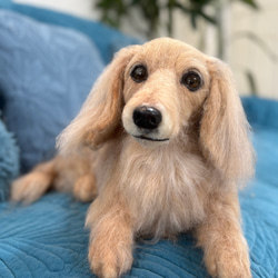 オーダー《受注製作》羊毛フェルト 犬♡ダックス♡ダックスフンド