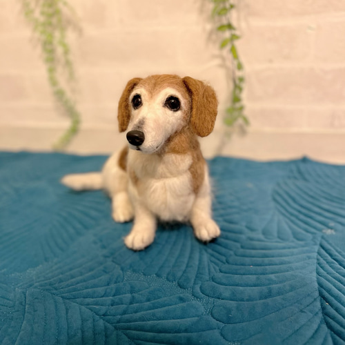 オーダー《受注製作》羊毛フェルト 犬♡ダックス♡ダックスフンド