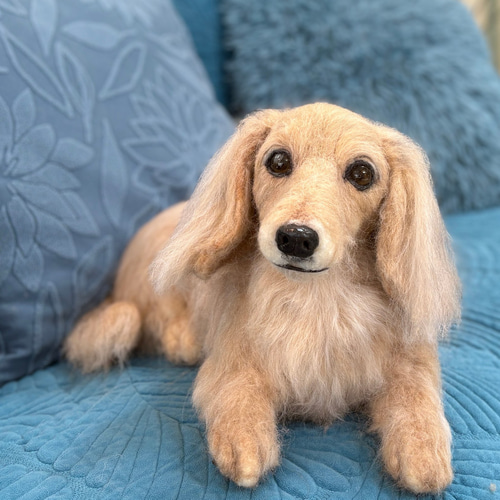 オーダー《受注製作》羊毛フェルト 犬♡ダックス♡ダックスフンド