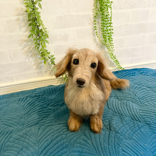オーダー《受注製作》羊毛フェルト 犬♡ダックス♡ダックス