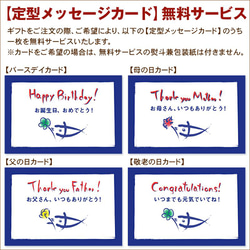 ◆鮮度とおいしさの目印は【一日漁】◆のどぐろ一夜干し～小ぶりサイズ5～6尾◆天日塩のみで仕上げたこだわりの一夜干し 3枚目の画像