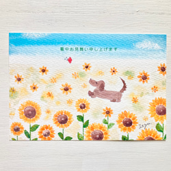 3枚セット「ダックスちゃんとひまわり」水彩画イラストポストカード　ダックスフント　犬　夏ヒマワリ　ペットと暮らす2021 2枚目の画像