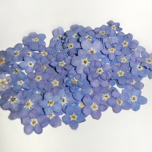 琉球ガラス入り忘れな草のヘアゴムmarry.c's handmadeaccessory