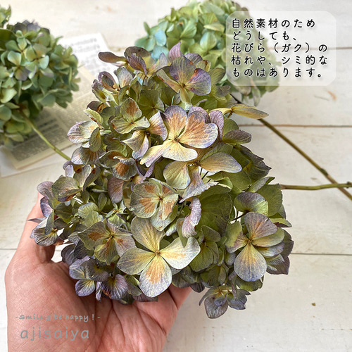 おすすめネット 秋色紫陽花ドライフラワー③ フラワー・リース