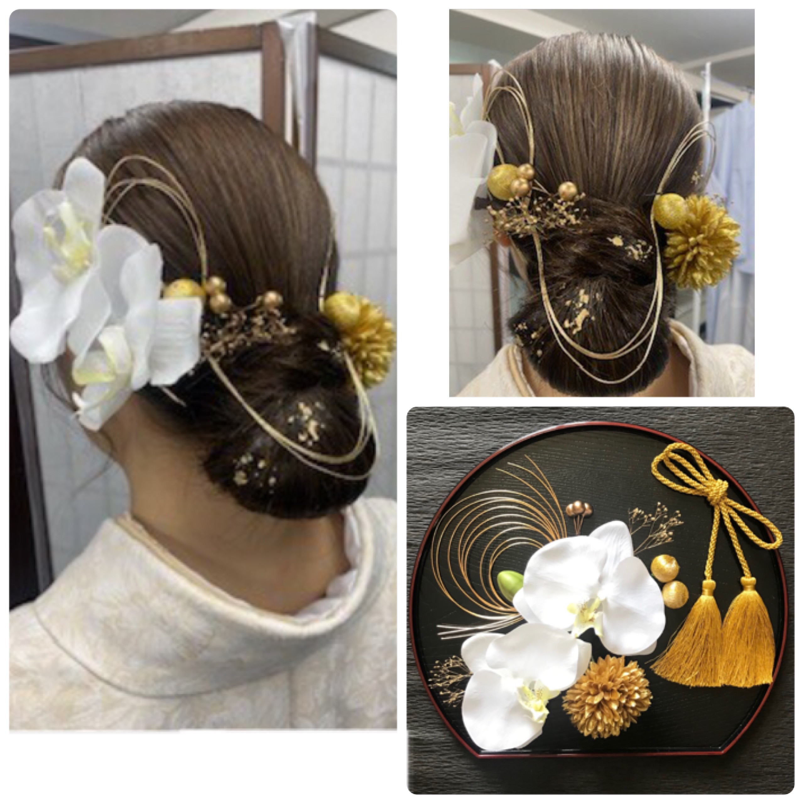 Agogopresbyhospital - 【3980円多数出品中】サイズが選べる 胡蝶蘭 