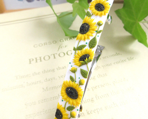 bcbd37268beb151ccbc4a09b988dc5