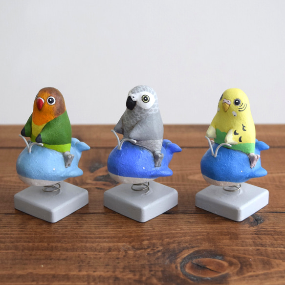 Birds on a whale spiring rider 第8張的照片