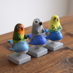 Birds on a whale spiring rider 第3張的照片