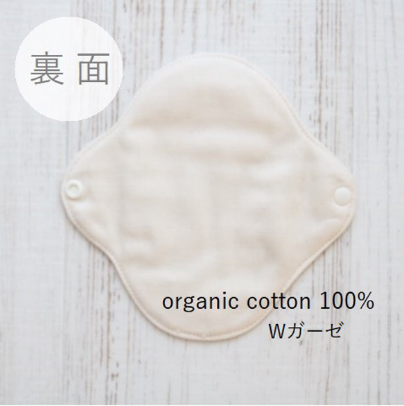  第14張的照片