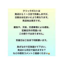 送料無料　白のかすみ草と紫陽花のヘッドドレス　結婚式　成人式　振袖　袴　ウェディング　髪飾り　ドライフラワー 4枚目の画像