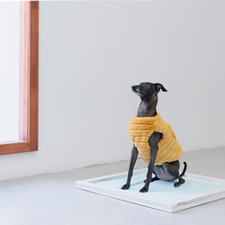 大理石模様　ペットトレー　犬のトイレ　小型犬　猫　レギュラーサイズ 1枚目の画像