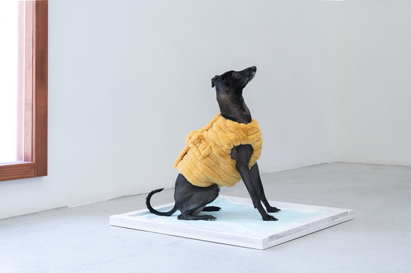 大理石模様　ペットトレー　犬のトイレ　小型犬　猫　レギュラーサイズ 2枚目の画像