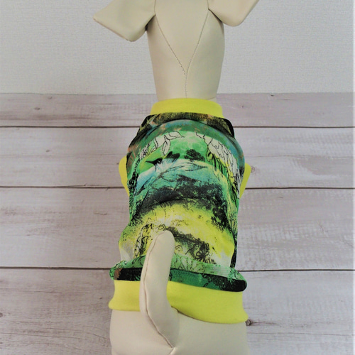 犬服「グリーン系メッシュ」犬の服 ドッグウェア 薄手 お出かけ お散歩