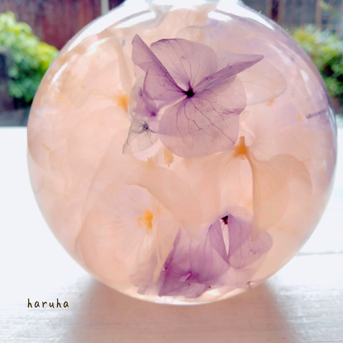 紫陽花のハーバリウム パープル 水色 ピンク ハーバリウム・植物標本  