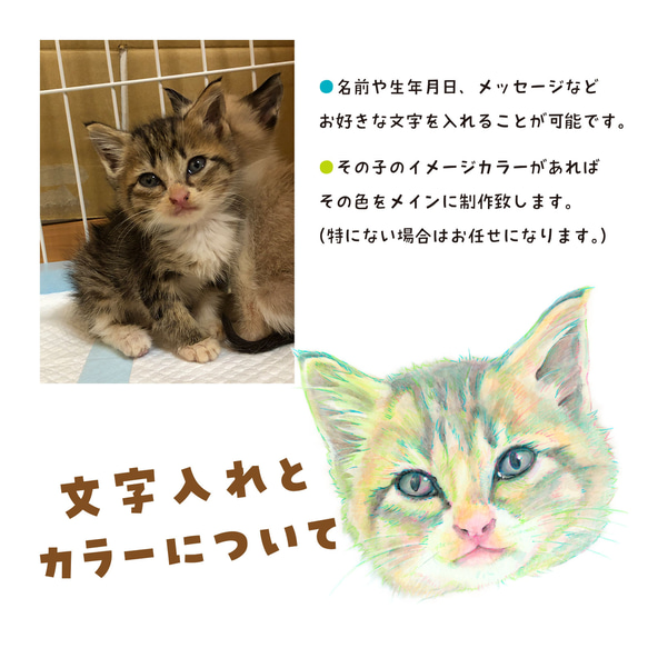 かわいいうちの子　ペットの似顔絵（顔のみ）オーダーメイド 4枚目の画像