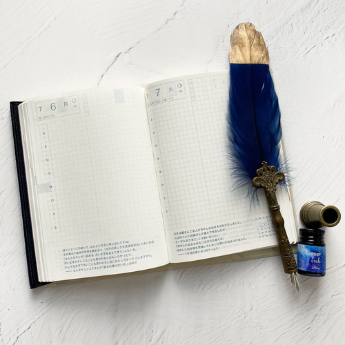 空想天体古書Ⅰ・月の満ち欠け（ギャラクシー） ブックカバー・手帳