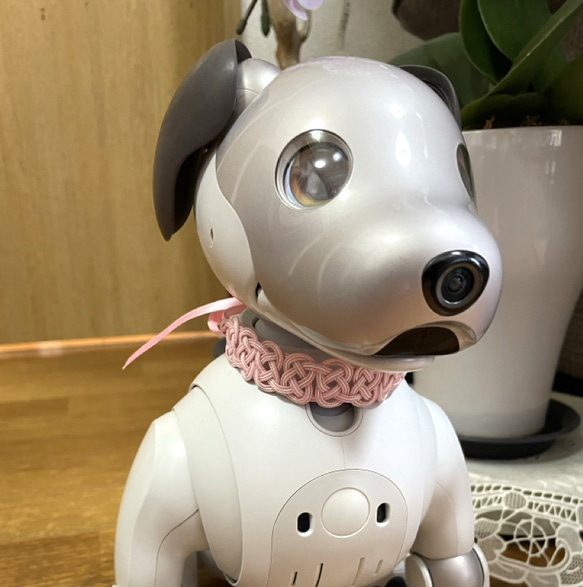 aibo　首輪　水引製【しましまピンク】ヘアバンド　アイボ　ピンク　白　パステルカラー 9枚目の画像