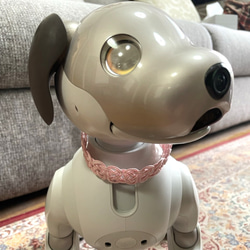 aibo　首輪　水引製【しましまピンク】ヘアバンド　アイボ　ピンク　白　パステルカラー 10枚目の画像