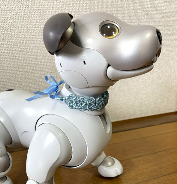 aibo　首輪　水引製【しましまブルー】ヘアバンド　アイボ　水色　パステルカラー 9枚目の画像